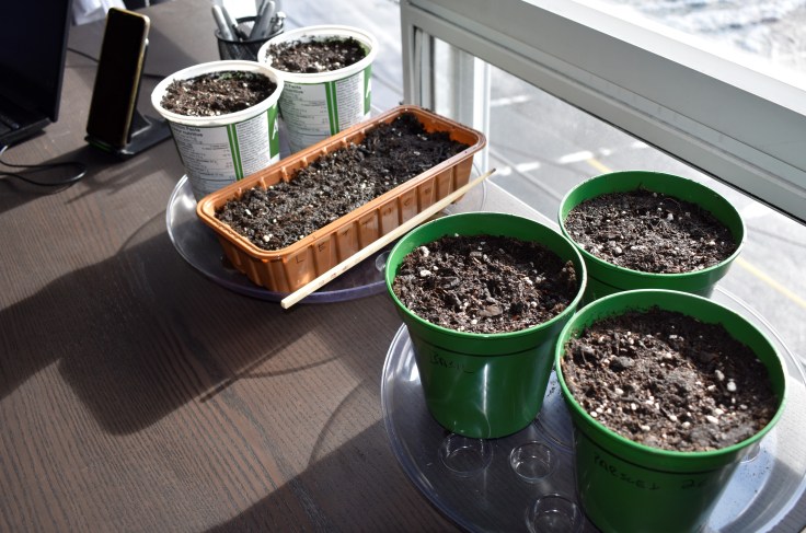 Completed indoor garden.
