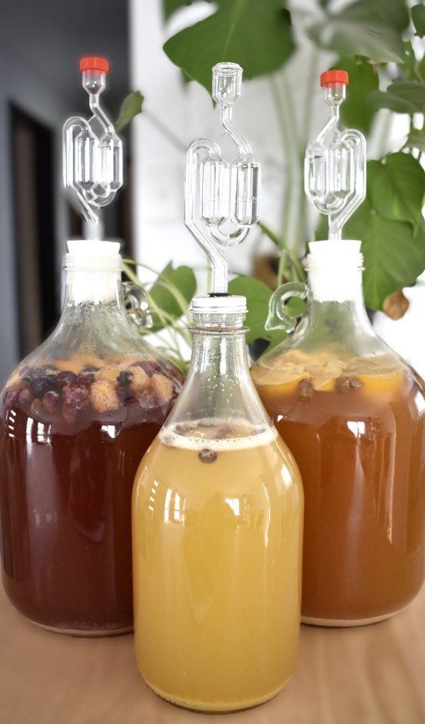 Image is of 3 demijohns. 2 contain mead an the smaller of the 3 contains hard apple cider.