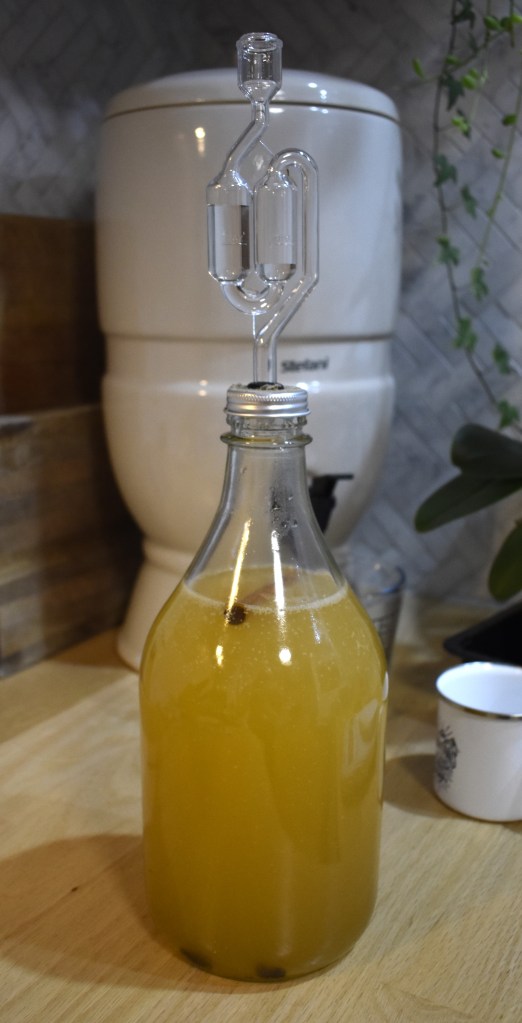 An image of my batch of hard apple cider completed and ready to begin fermenting. 