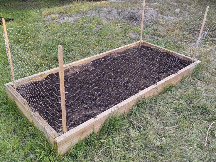 An image of a timber garden bed protected by a chicken wire cage.