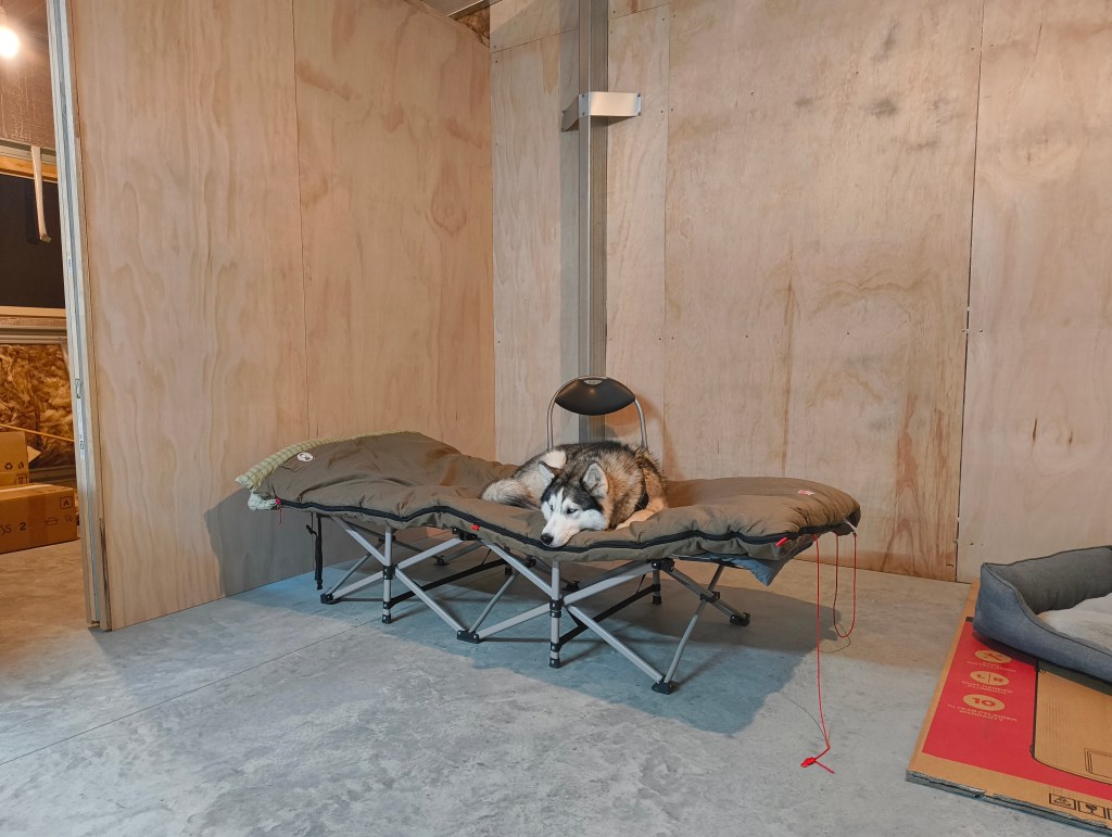 An image of a camping cot with sleeping bag being occupied by my dog Natasha as she rests in my newly insulated and cladded shed. 